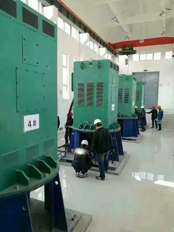 淄博某污水处理厂使用我厂的立式高压电机安装现场